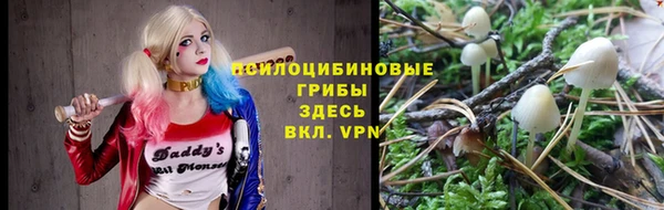 прущие крисы Пролетарск